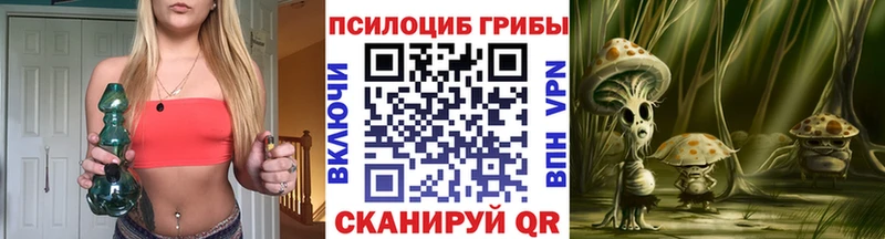 мориарти Telegram Феодосия Псилоцибиновые грибы Psilocybe где найти