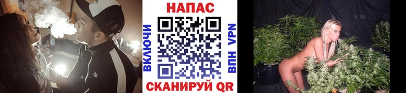 что такое   Феодосия  Конопля OG Kush 